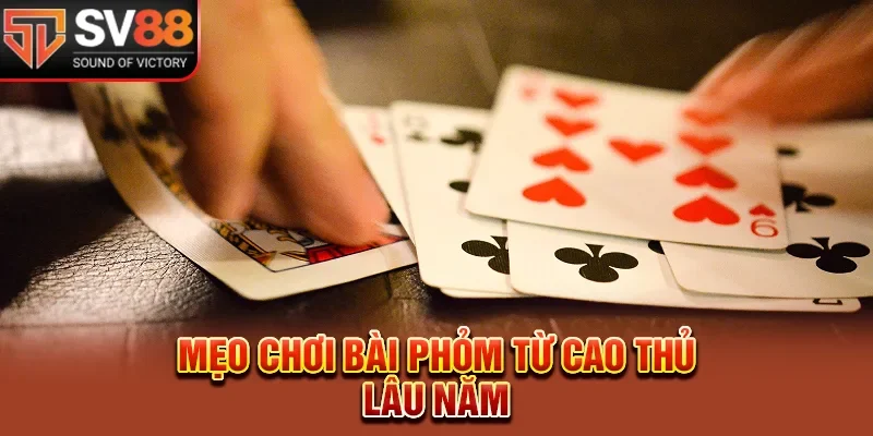 Mẹo chơi bài hiệu quả từ cao thủ lâu năm